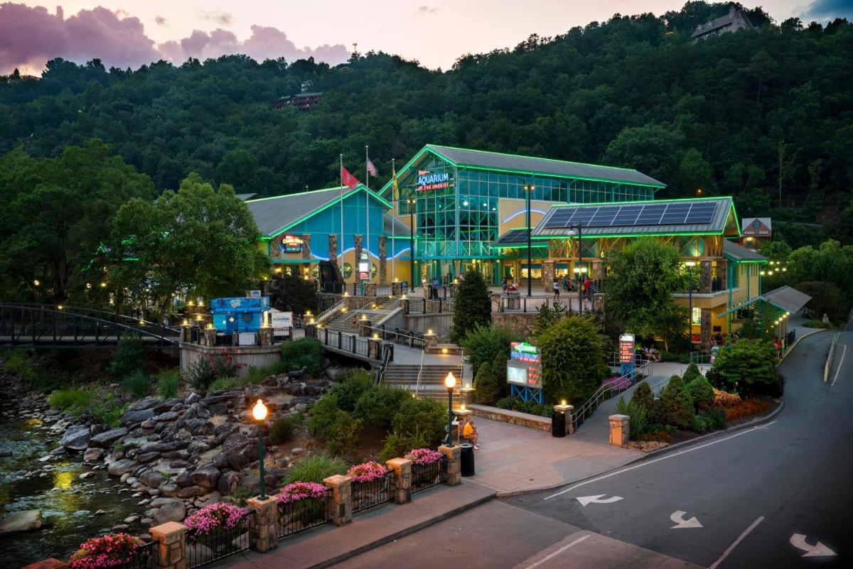 New Rustic Luxe Cabin Billiards Spa Near Gsmnp 타운센드 외부 사진